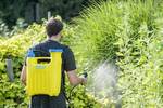 Piston-backspray device Hobby 1200 - 12 l backpack sprayer, nozzle sprayer