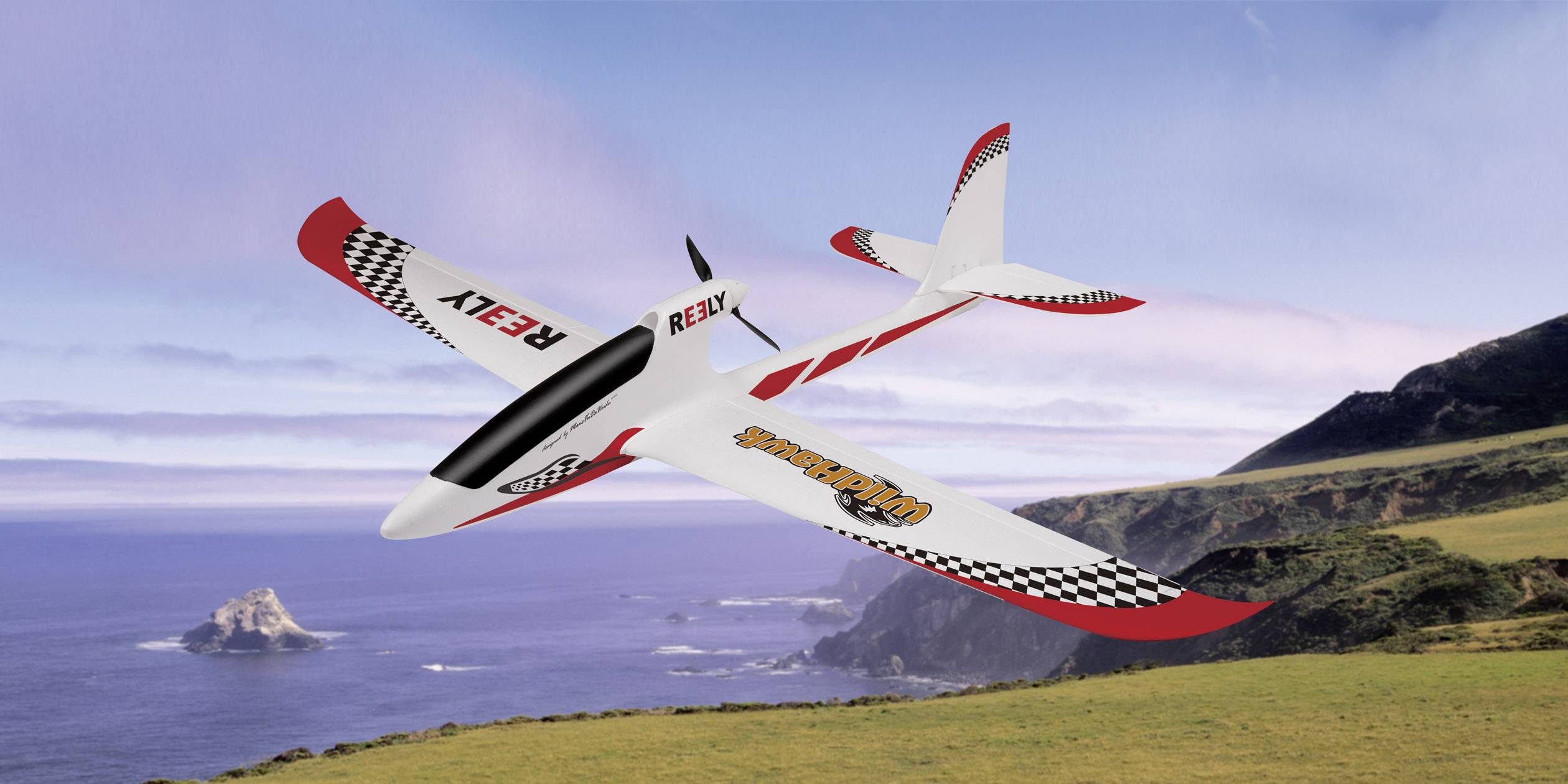 wild hawk rc plane