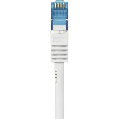 A white network cable with a blue, transparent RJ45 connector revealing golden contacts.