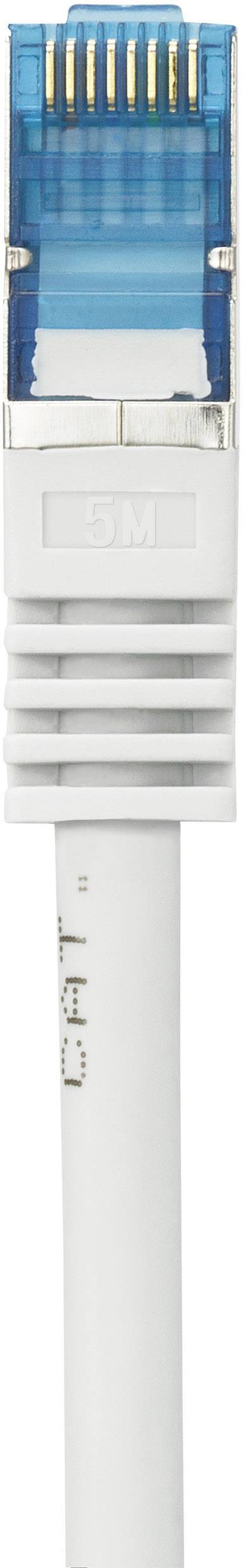 A blue and white Ethernet plug with eight gold-coloured contacts is attached to a white cable.