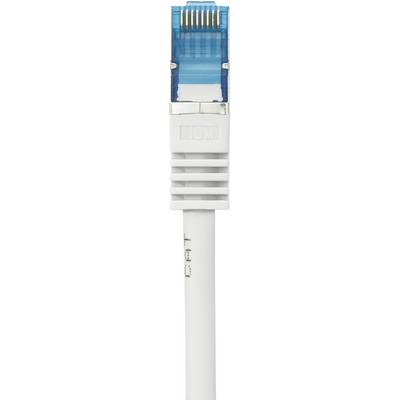 Close-up of an RJ45 Ethernet plug with a blue protective cap and white cables.