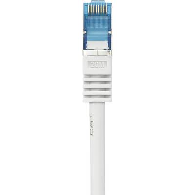 A network cable with a blue RJ45 plug.