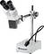 A stereo microscope with two eyepieces and a flexible light arm, mounted on a stable stand. Device used for detailed observation.