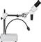 Microscope with an adjustable arm and optical tube for precise examinations in laboratory environments.