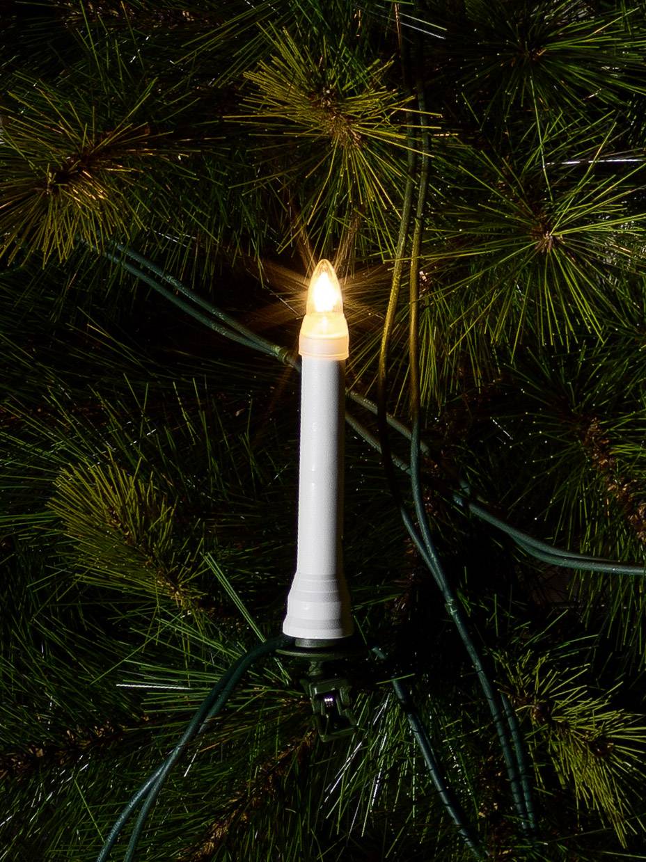 An electric candle glows on a conifer. Green cables are wrapped around the branches.