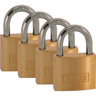 Four golden padlocks in a row, symbolising security or protection.