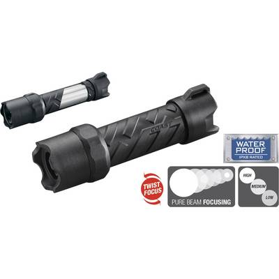 Two black torches, one with a silver ring. Label reads: 'Waterproof IPX8 Rated'. Graphics demonstrate focusing and brightness settings.