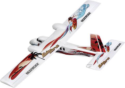 twinstar rc plane