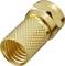 A gold-coloured coaxial plug with a knurled surface. It is used for TV and internet connections.