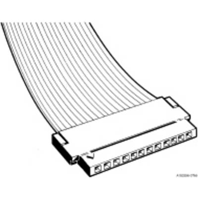 Flat ribbon cable with a connector, used for electronic connections. Several parallel conductors are visible on the left.