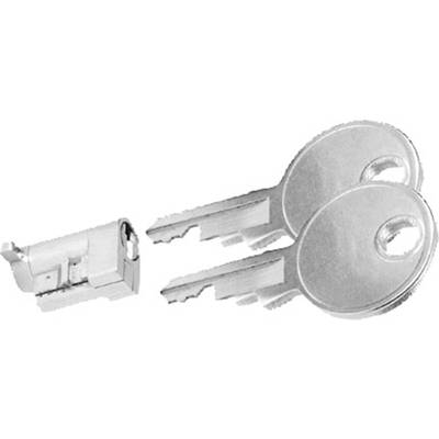 Two silver keys beside a cylinder lock barrel designed to accommodate the keys.