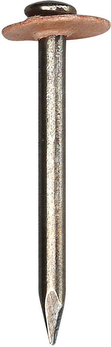 A long, metallic nail with a broad, round copper head, suitable for fixing work in construction or craftsmanship.