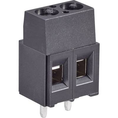 'Black two-pole connector with two metal pins at the bottom and two socket holes at the top, suitable for electronic applications.'
