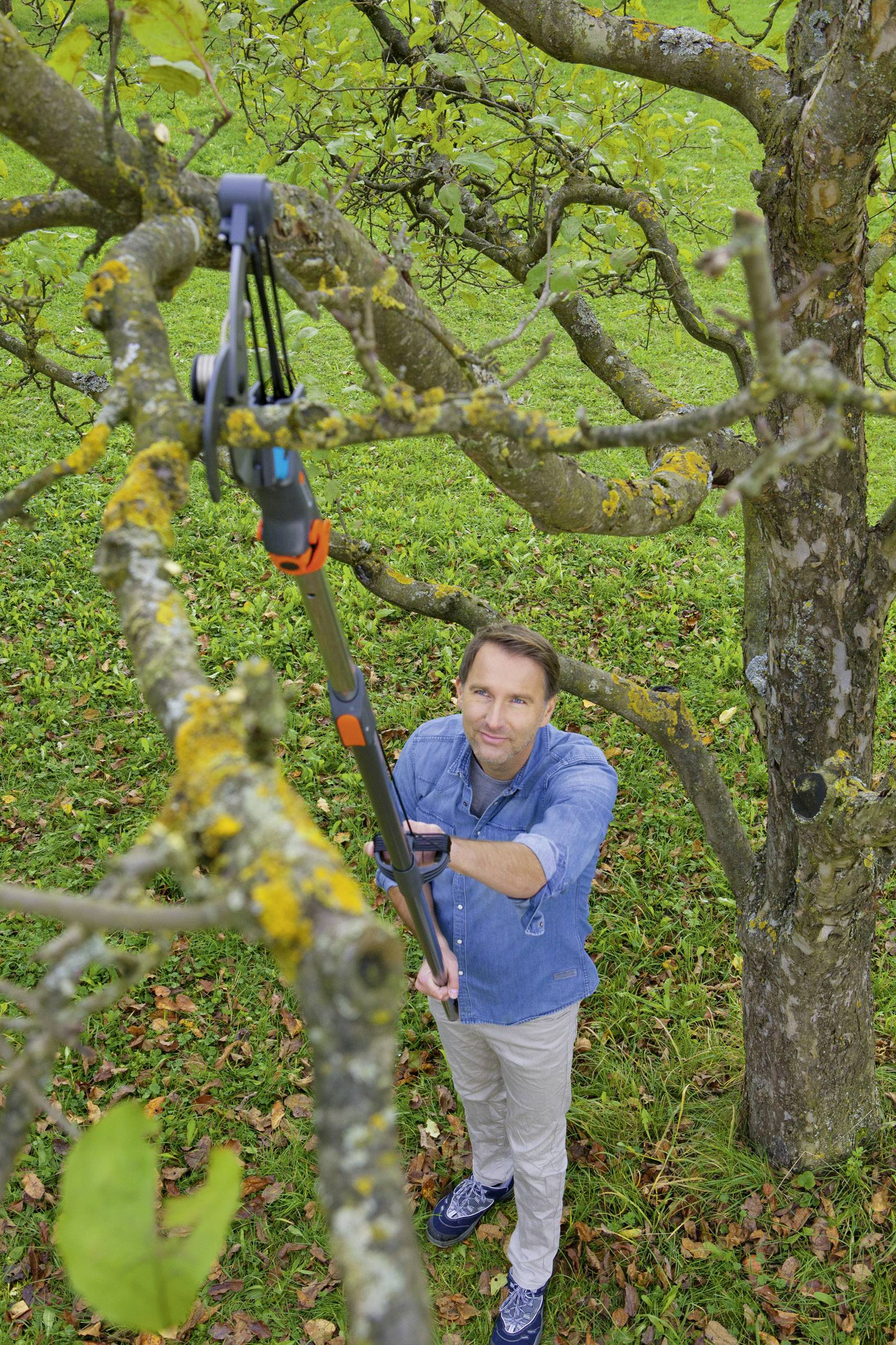 A man in blue clothing is cutting a branch with a long-handled pruning shears in a green garden.