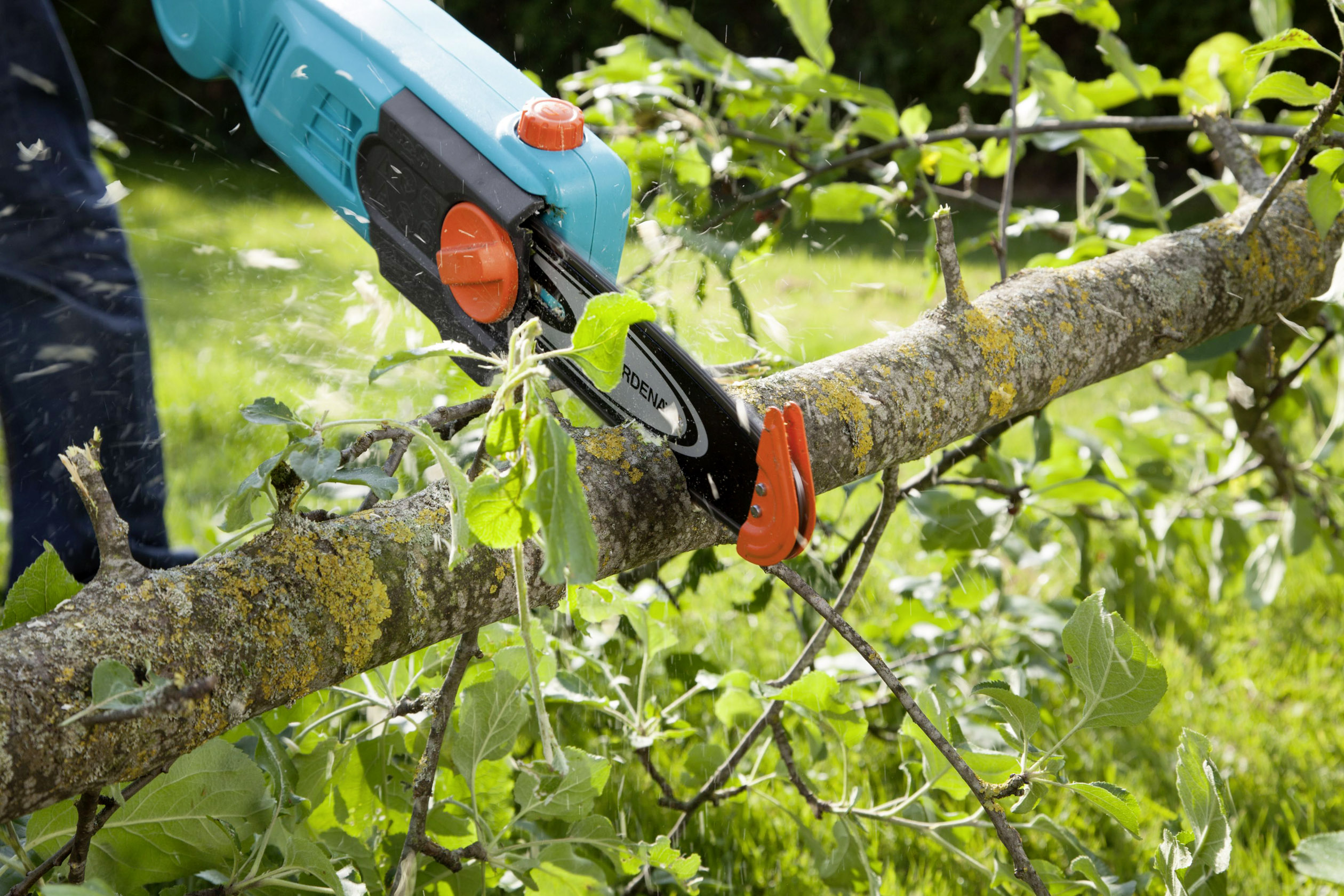 A chainsaw cuts a branch from a tree. Fresh leaves and wood chips fly into the air.