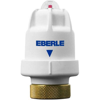 A white Eberle thermostatic valve with a blue logo and a brass-coloured connection.