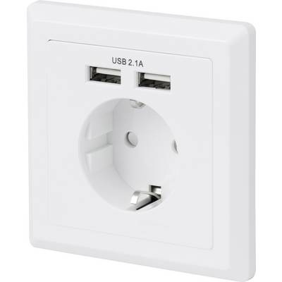 White socket with two USB ports (2.1A).