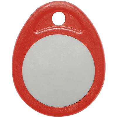 Round red keyring with grey centre and hole for attaching to a set of keys.