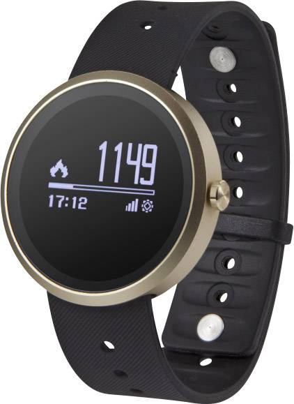 sw 500 smartwatch