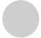 Grey circle on white background.