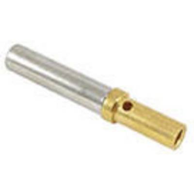 Metal cylinder with silver and golden section. The golden section has a hole and is smaller than the silver one.