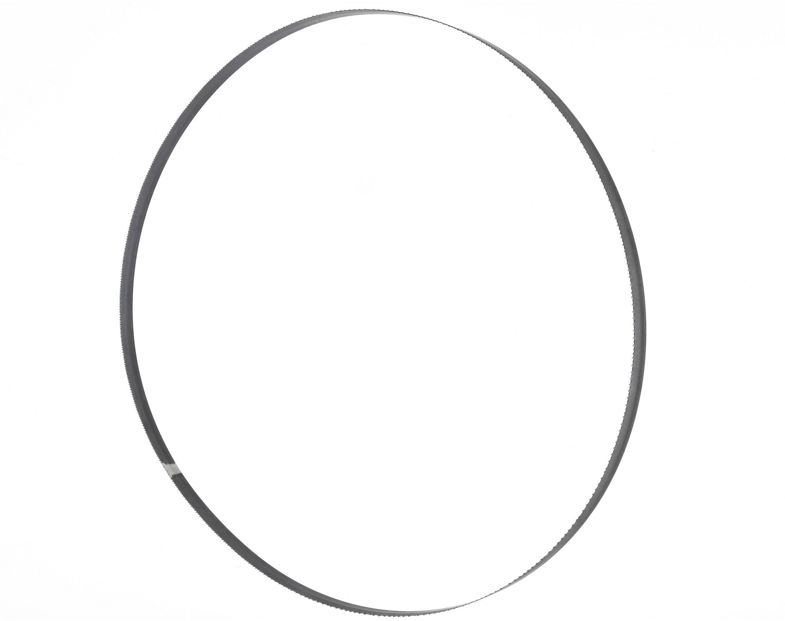 Holzmann Maschinen BSB300B6 Band saw blade 2240 x 6 x 0.36 1 pc(s) Suitable for HBS300J_230V