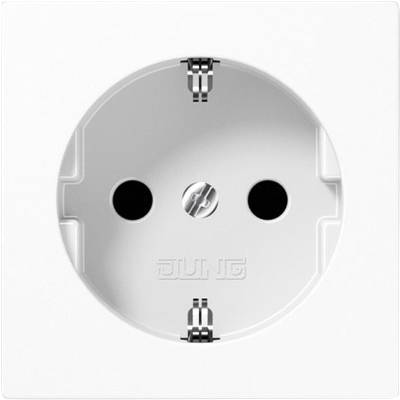 White socket on a wall, with two round holes and an earth contact in the centre.