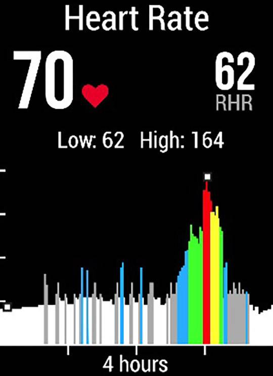 Garmin Vivoactive 4 Smartwatch L-6