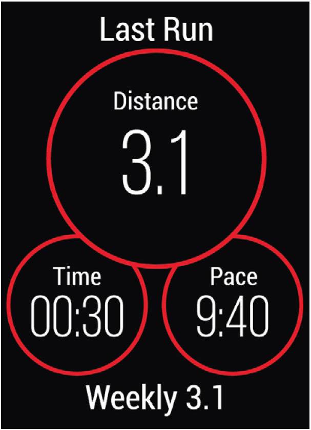 Garmin Vivoactive 4 Smartwatch L-8