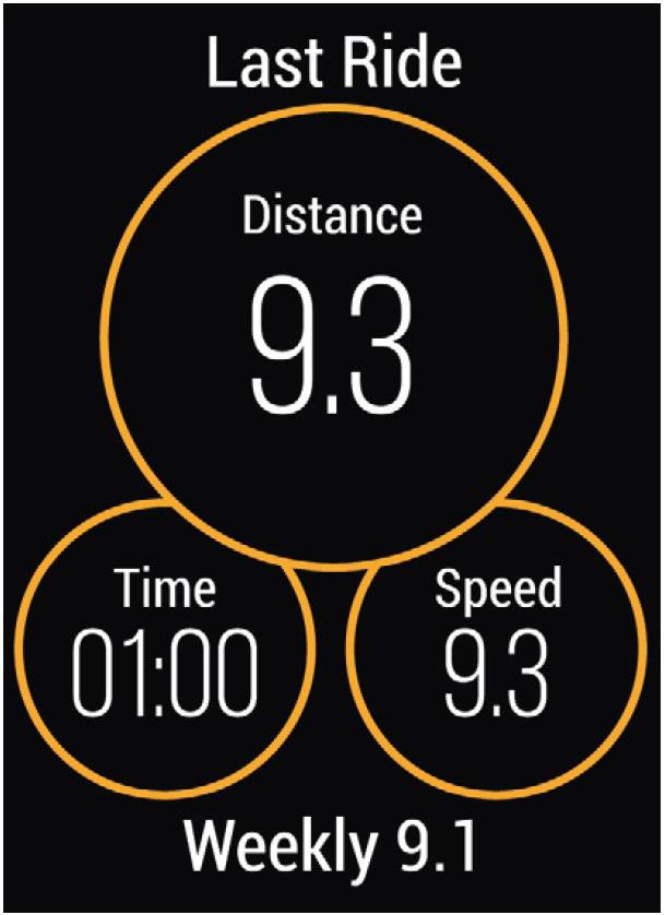 Garmin Vivoactive 4 Smartwatch L-9