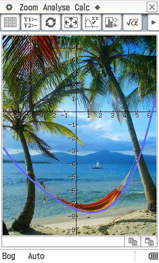 Mathematical graphic placed over a beach photograph. Coordinate system with coloured curves. Palm trees, hammock, and sailing boat in the background.