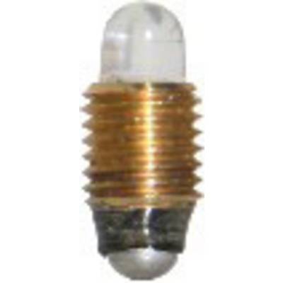 Small light bulb with golden fitting, suitable for torches or small electronic devices.