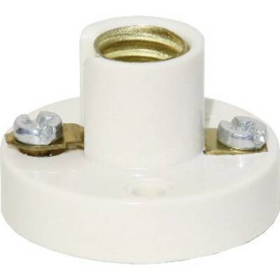 White lamp socket with two screw terminals for mounting light bulbs.