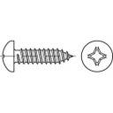 TOOLCRAFT 144971 Raised head self-tapping screw 2.9 mm 19 mm Phillips DIN 7981 Steel zinc galvanized 100 pc(s)