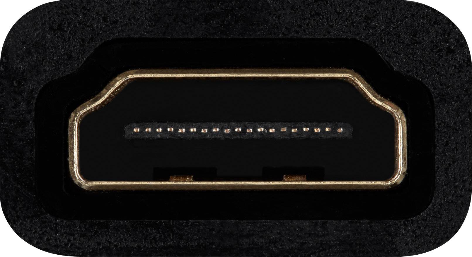Close-up of an HDMI socket, showing the rectangular shape and contacts.
