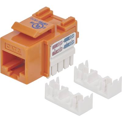 An orange CAT.6 keystone module used for network installation, with two white cable management caps.