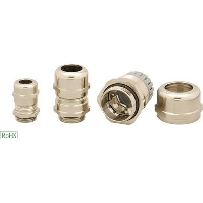Four golden cable glands of different sizes placed side by side. A small 'RoHS' logo in the bottom left corner.