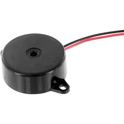 A round, black piezo buzzer with two wires (red and black) is used for sound output, often employed in electronic circuits.
