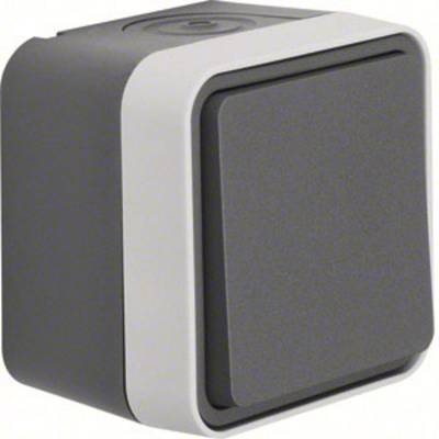 Image of Berker Toggle switch W.1 (surface-mounted) Grey, Light grey 30763505