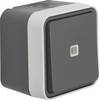 Berker Toggle switch W.1 (surface-mounted) Grey, Light grey 30763525 1 pc(s)