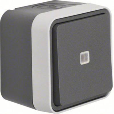 Wall switch in square form, grey with a white frame, suitable for interior use.