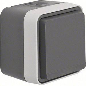 Berker PG socket (+ lid) W.1 (surface-mounted) Grey, Light grey 47633505 1 pc(s)