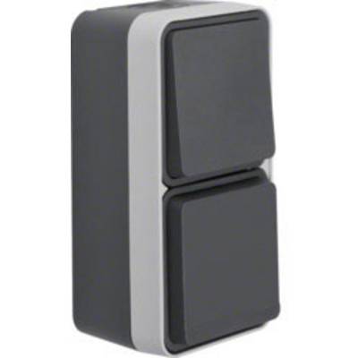 Double switch in a rectangular form with two black rockers, suitable for wall mounting, robust design for interior applications.