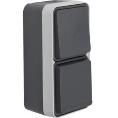 Image of Berker Switch/socket combo W.1 (surface-mounted) Grey, Light grey 47803515