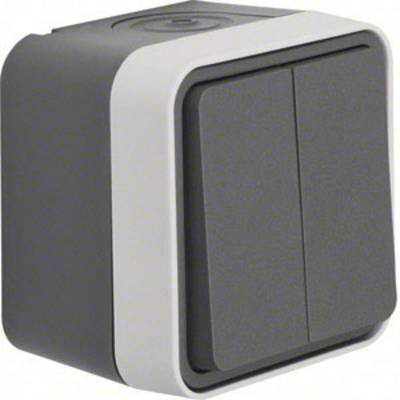 A grey, rectangular wall switch with two buttons, surrounded by a white frame. Suitable for interior use.