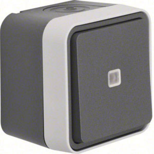 Berker Switch W.1 (surface-mounted) Grey, Light grey 50763505 1 pc(s)