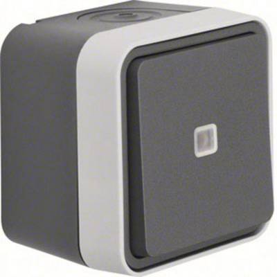 Grey, square light switch with a white frame.