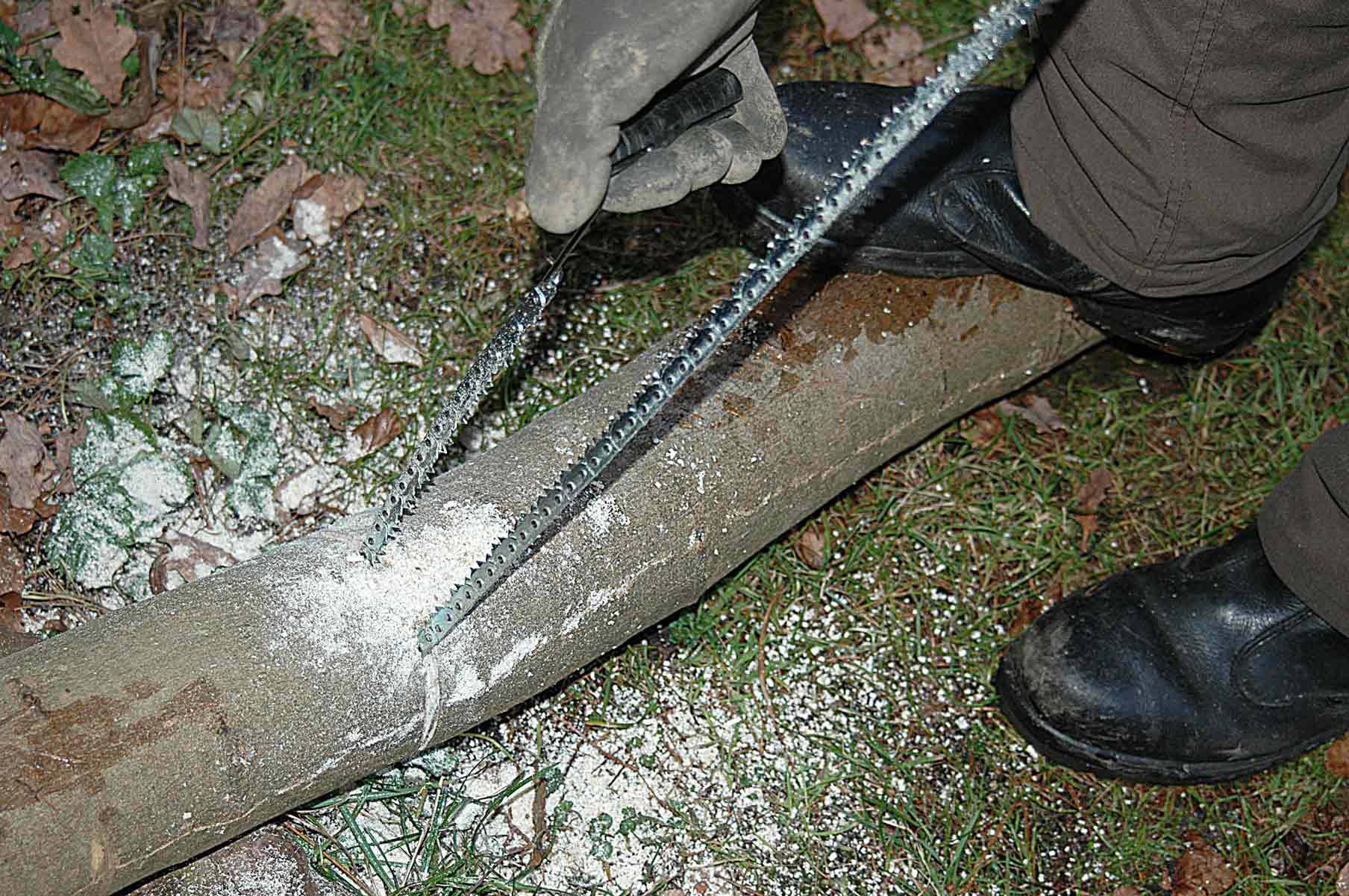 A person is sawing a tree trunk with a hand hacksaw on an overgrown ground. Sawdust is visible on the wood.