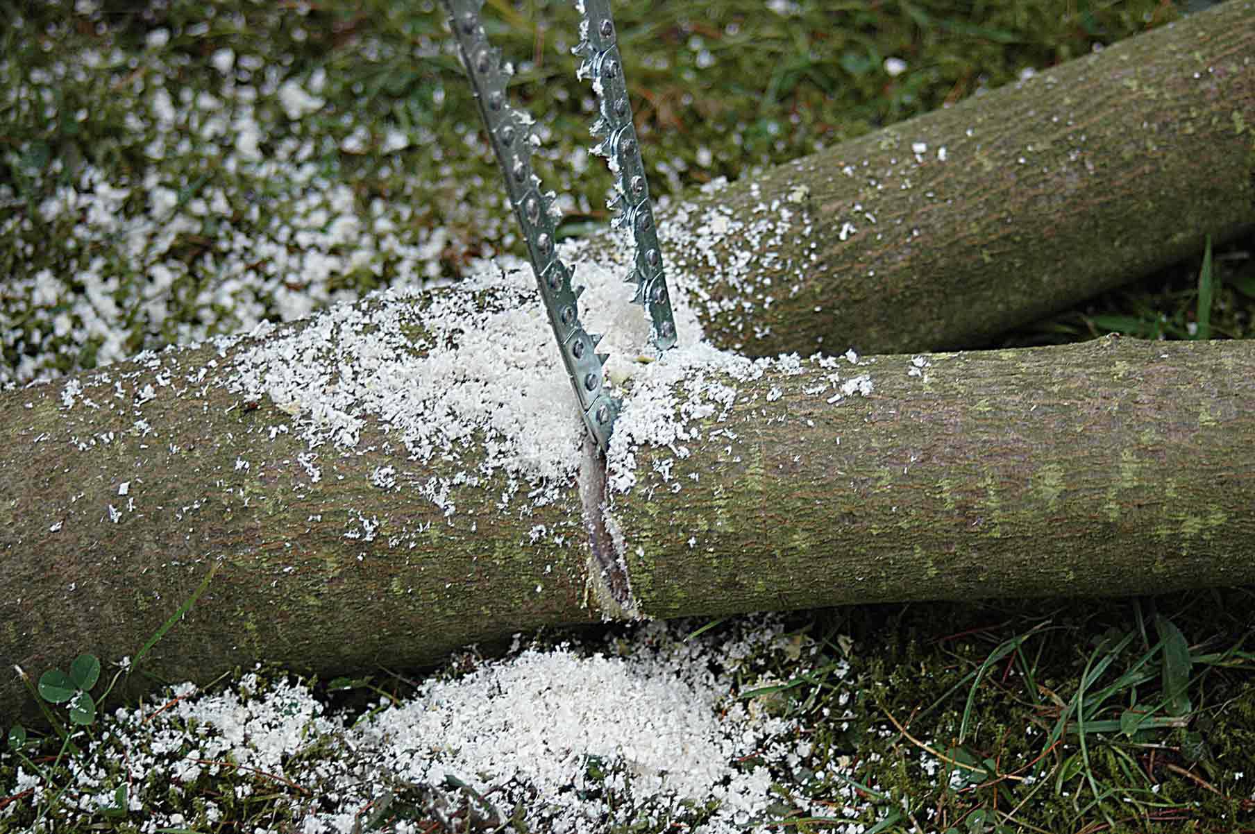 A handsaw cuts through a tree trunk on grass-covered ground, surrounded by sawdust.