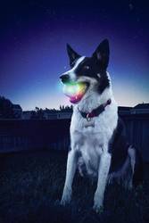 Nite Ize Glowstreak Led Ball Transparent 1 Pc S Conrad Com